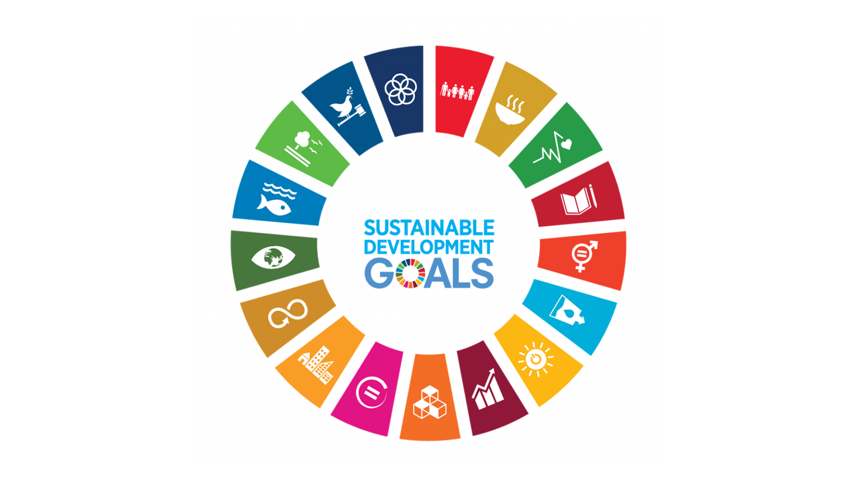 UN Sdgs