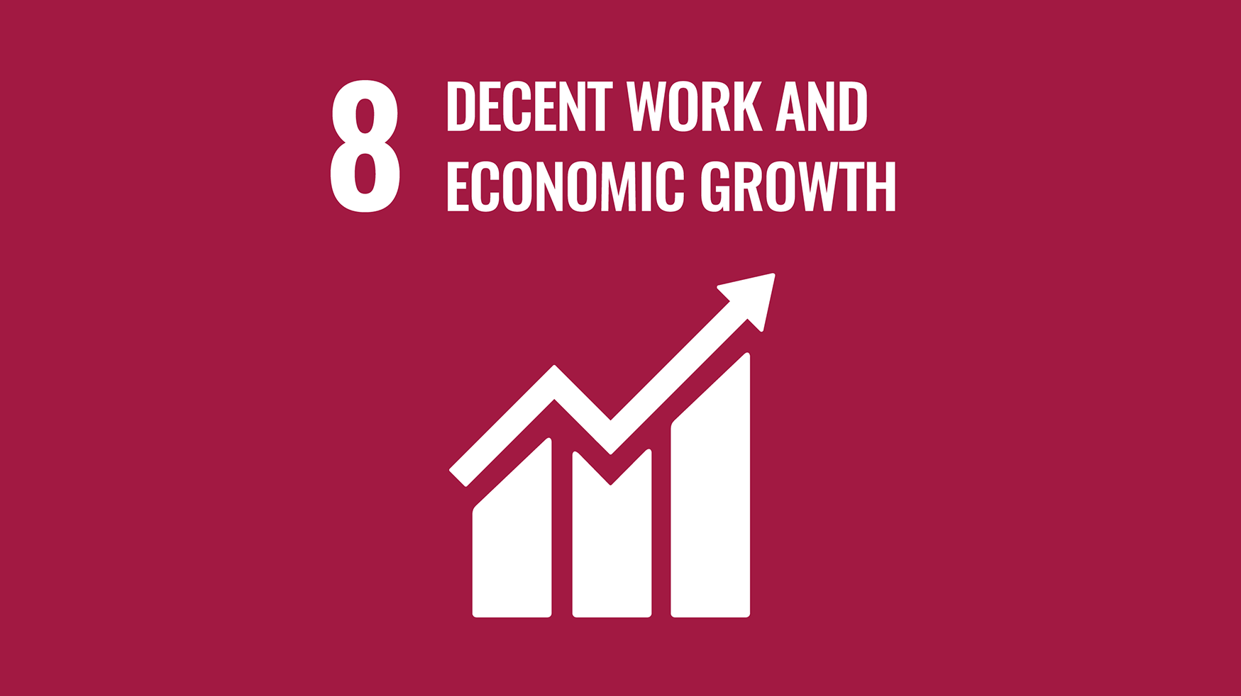 SDG 8
