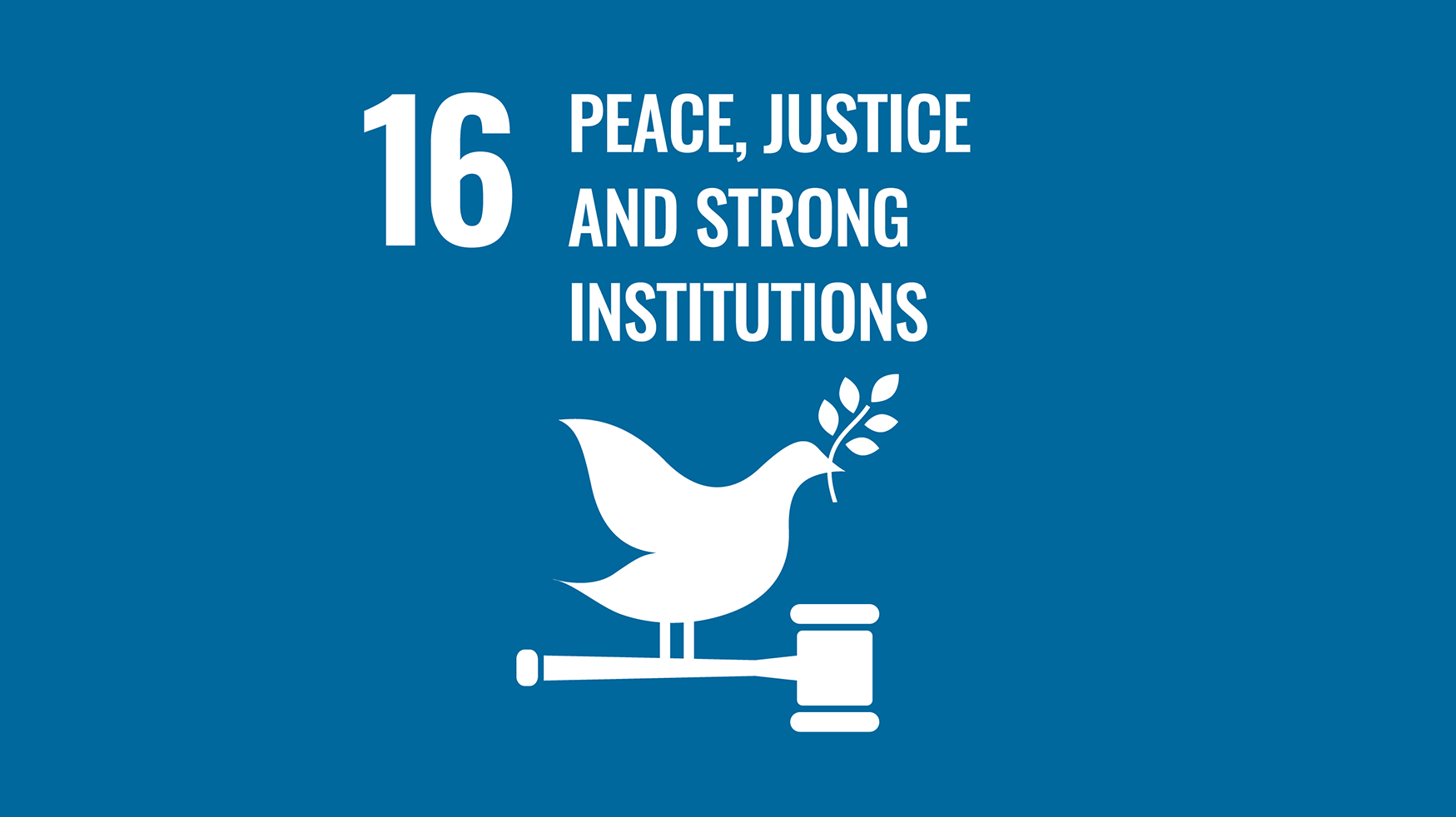 SDG 16