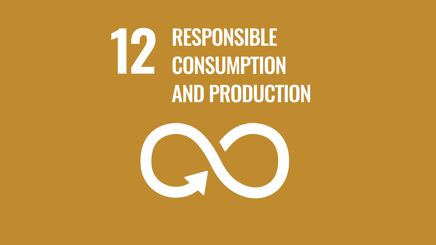 SDG 12
