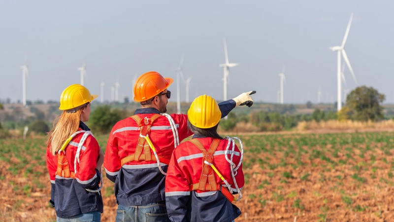 Adobestock 1124847413