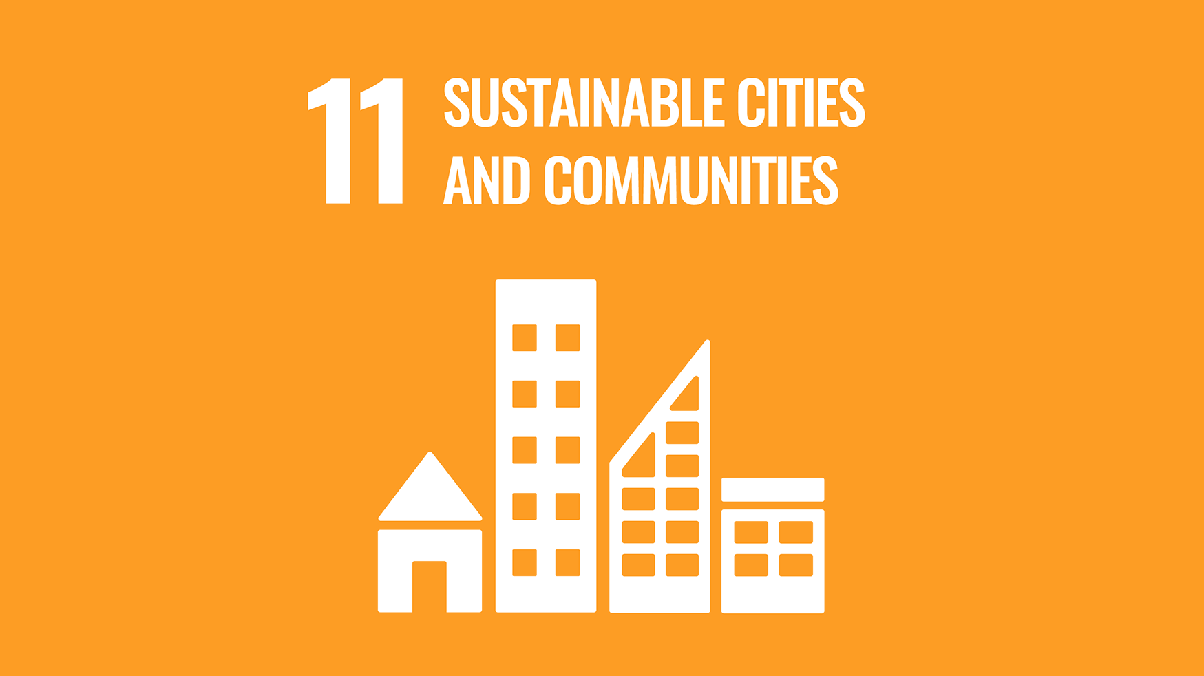 SDG 11