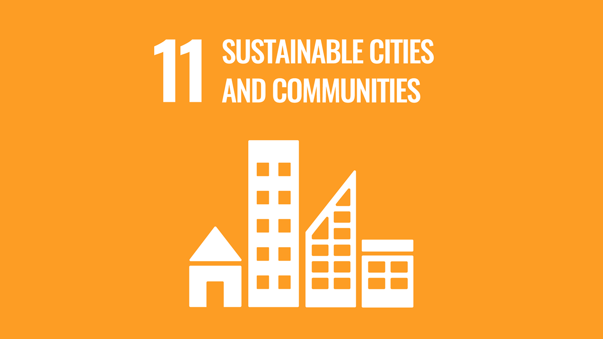 SDG 11