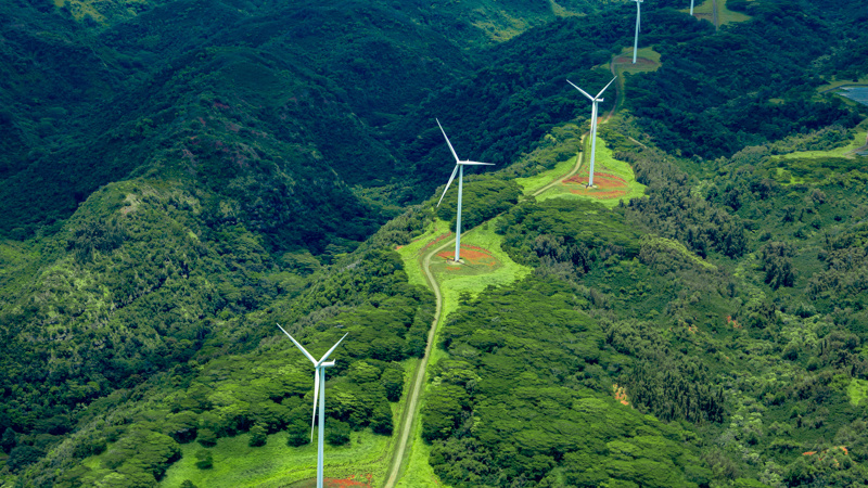 Adobestock 438227552