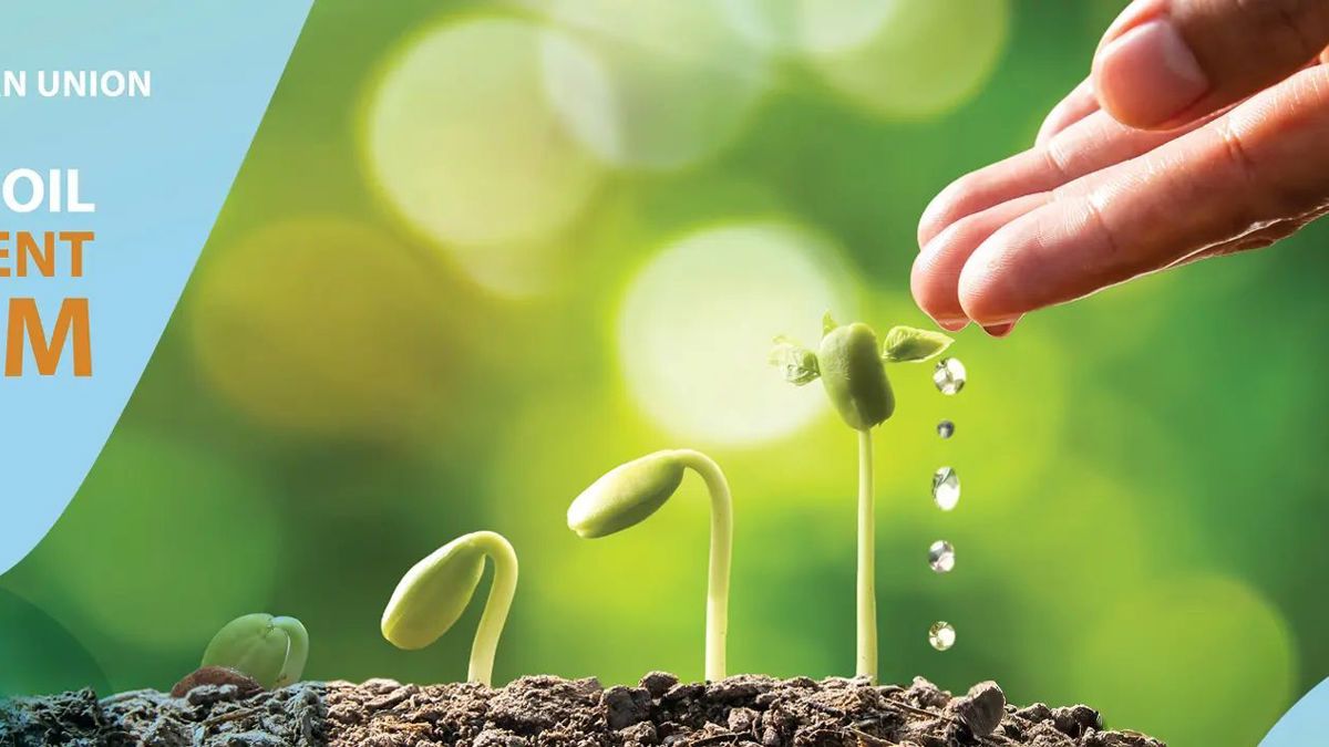 𝗛𝗲𝗮𝗹𝘁𝗵𝘆 𝘀𝗼𝗶𝗹𝘀 are not only an environmental necessity — they are also an 𝗲𝗺𝗲𝗿𝗴𝗶𝗻𝗴 𝗶𝗻𝘃𝗲𝘀𝘁𝗺𝗲𝗻𝘁 𝗼𝗽𝗽𝗼𝗿𝘁𝘂𝗻𝗶𝘁𝘆