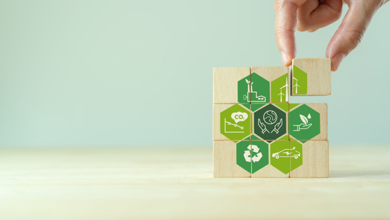 Adobestock 492751459