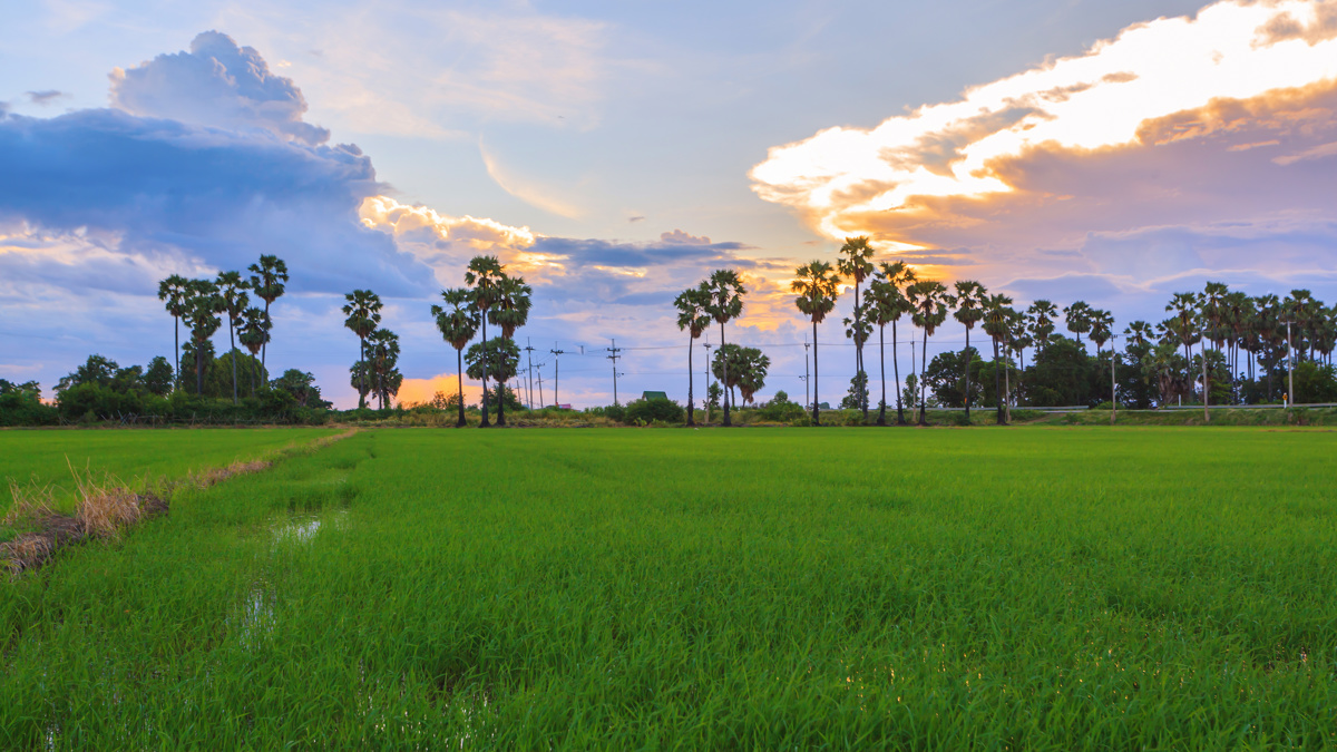NTU awarded the Technical Assistance for ASPIRE-AT Pogramme in Cambodia