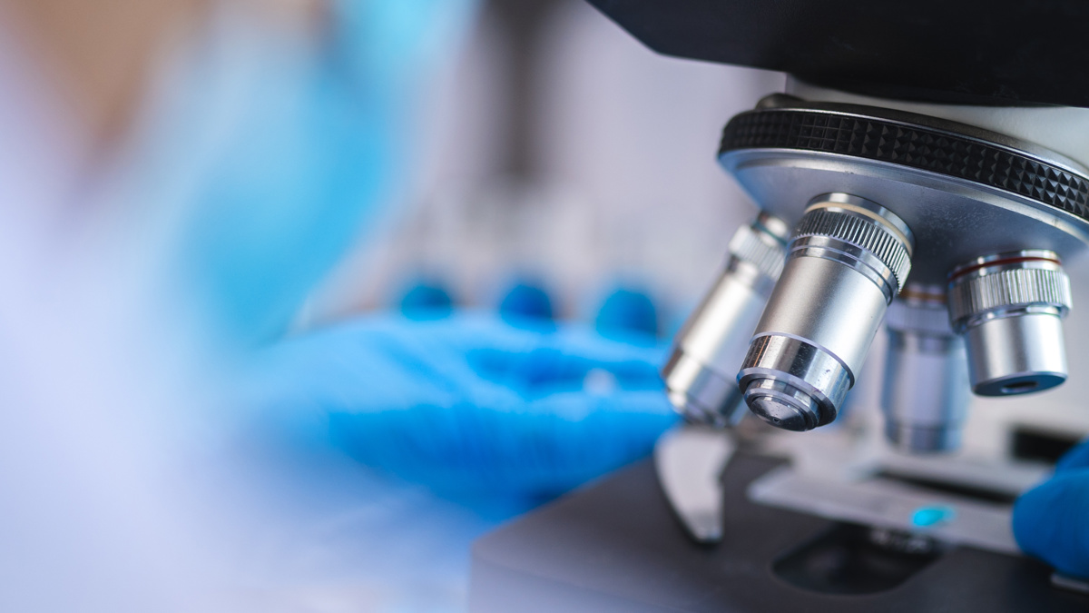 Lot 4: Smart Growth, Social Infrastructure, EUROPE2020 and SMEs Access to Finance