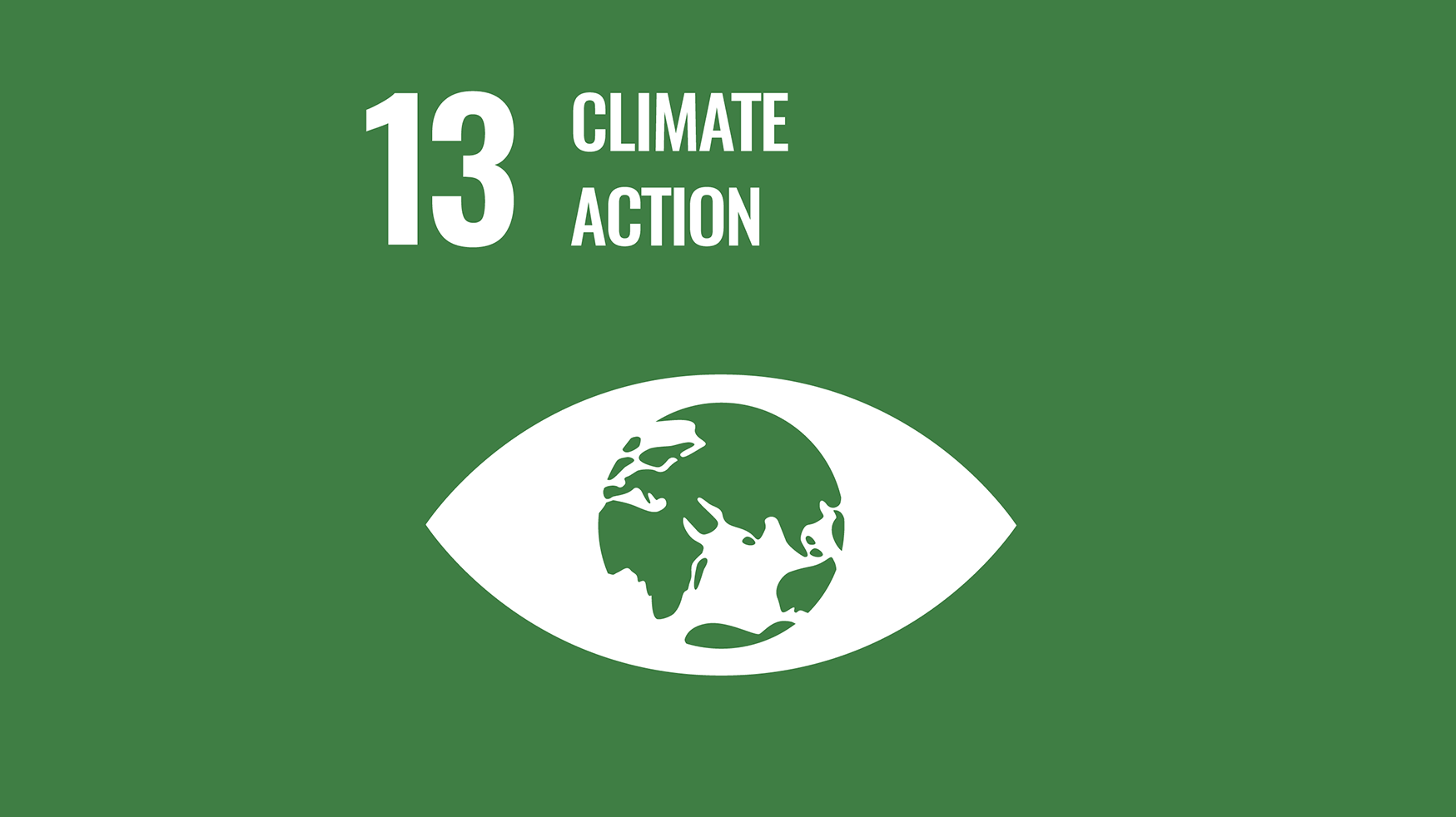 SDG 13