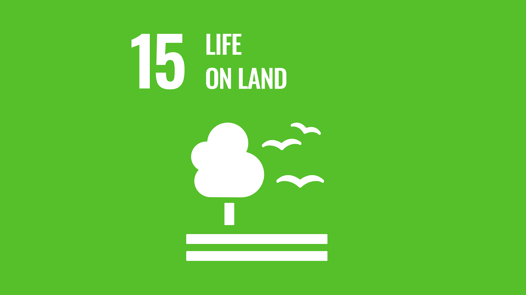 SDG 15