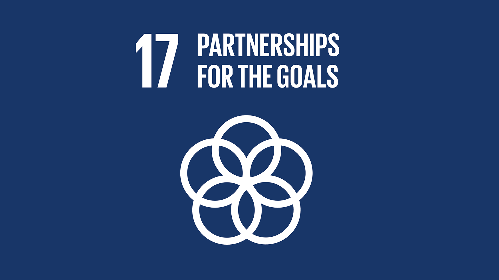 SDG 17