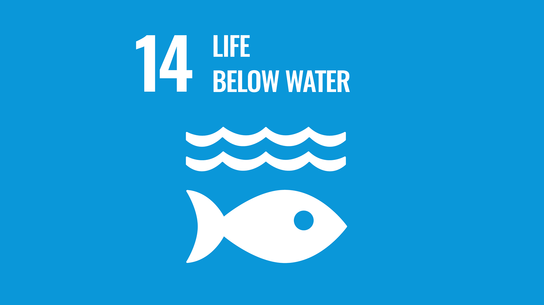 SDG 14