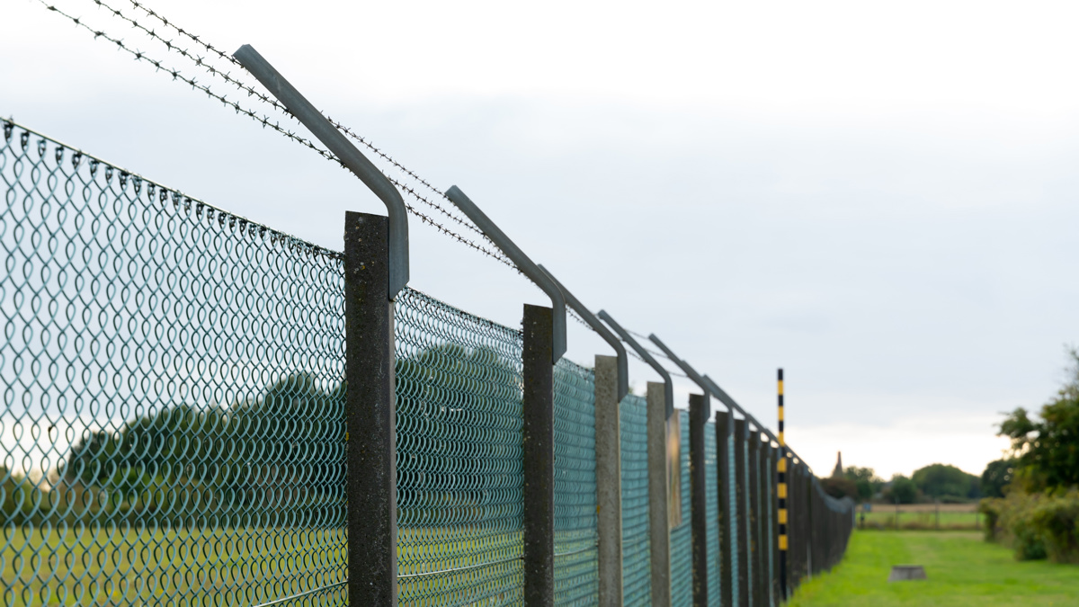 Lot 14: Migration and Forced Displacement