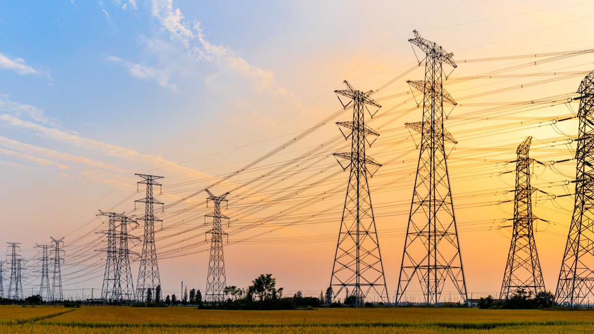 Transmission and distribution Hybrid Networks  (THEUS)